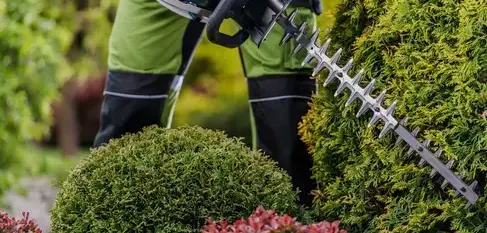 aménagement jardin à Crozon - image 2