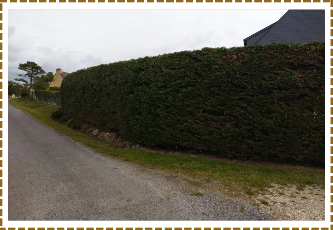 amenagement jardin daoulas