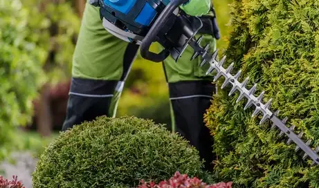 aménagement jardin Dinéault-1