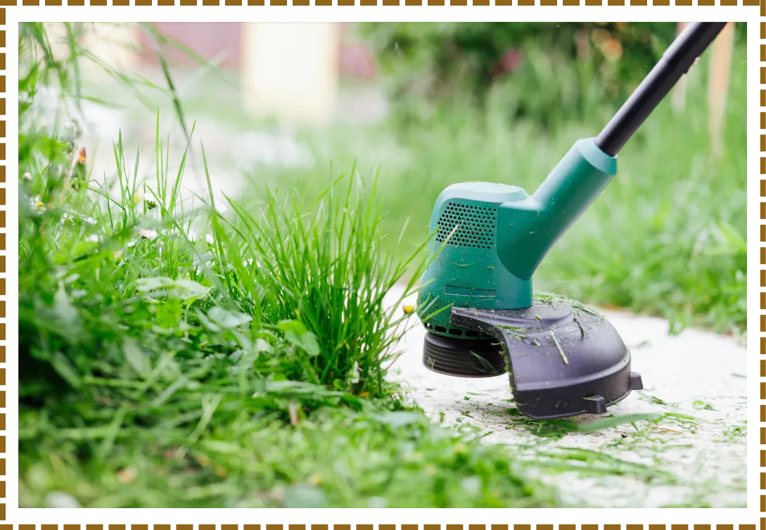 amenagement jardin dineault