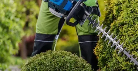 aménagement jardin Lopérec-1