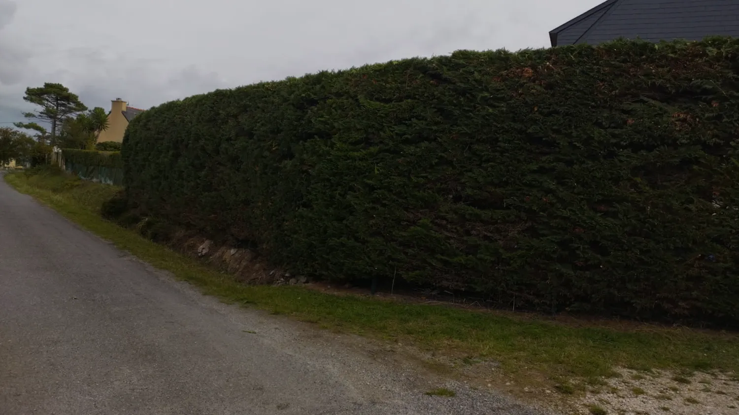 amenagement jardin pont de buis