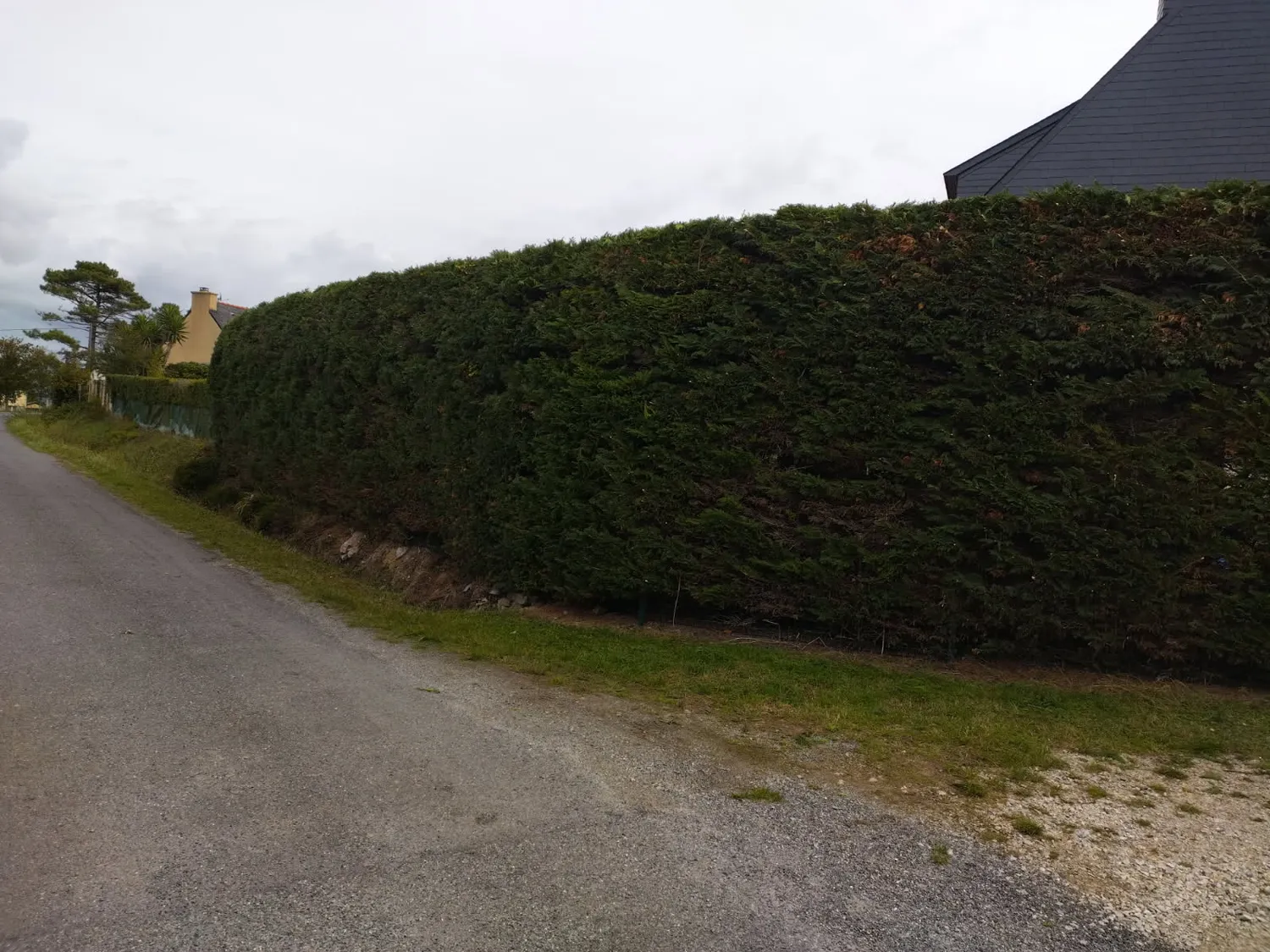 entretien de jardin dineault