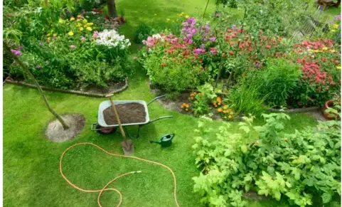 entretien espaces verts à Crozon - image 4