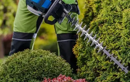 entretien espaces verts Crozon-5