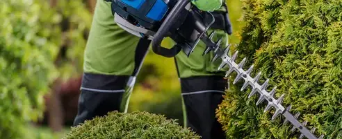 entretien espaces verts à Dinéault - image 2