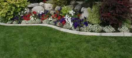 entretien espaces verts à Dinéault - image 4