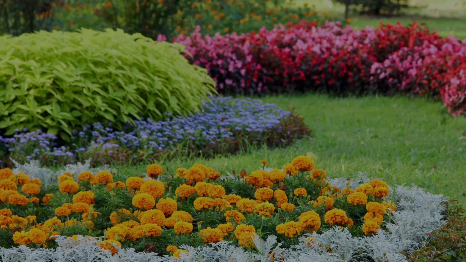 entretien espaces verts pont de buis