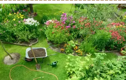 jardinier à Crozon - image 2