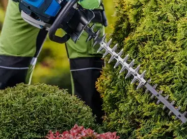 jardinier à Crozon - image 3