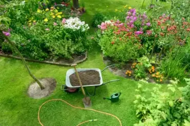 jardinier Dinéault-1