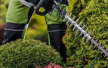 jardinier à Dinéault - image 4