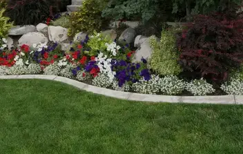 jardinier Dinéault-5